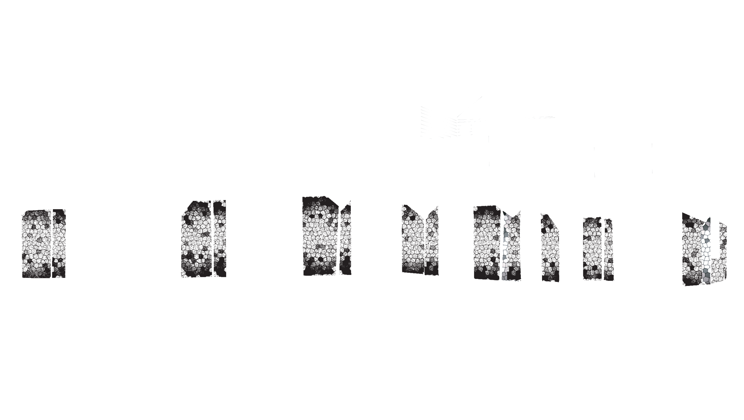 Banyak Suka Homestead Logo